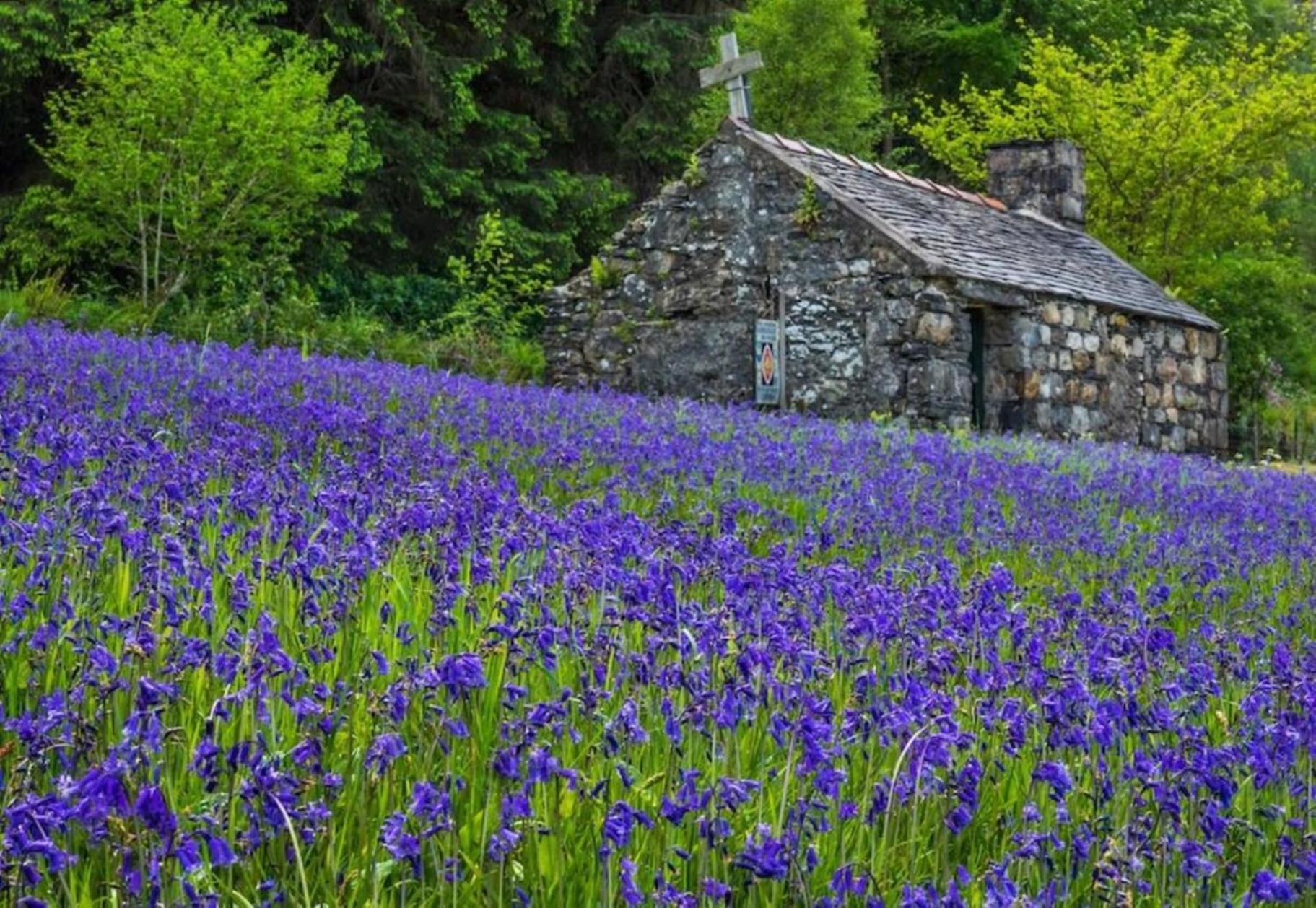 Aos Si Lodges Ballachulish Bagian luar foto